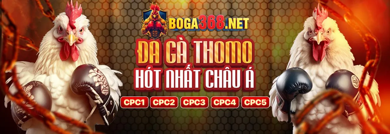 Các loại kèo cược đá gà hấp dẫn tại viva88 app