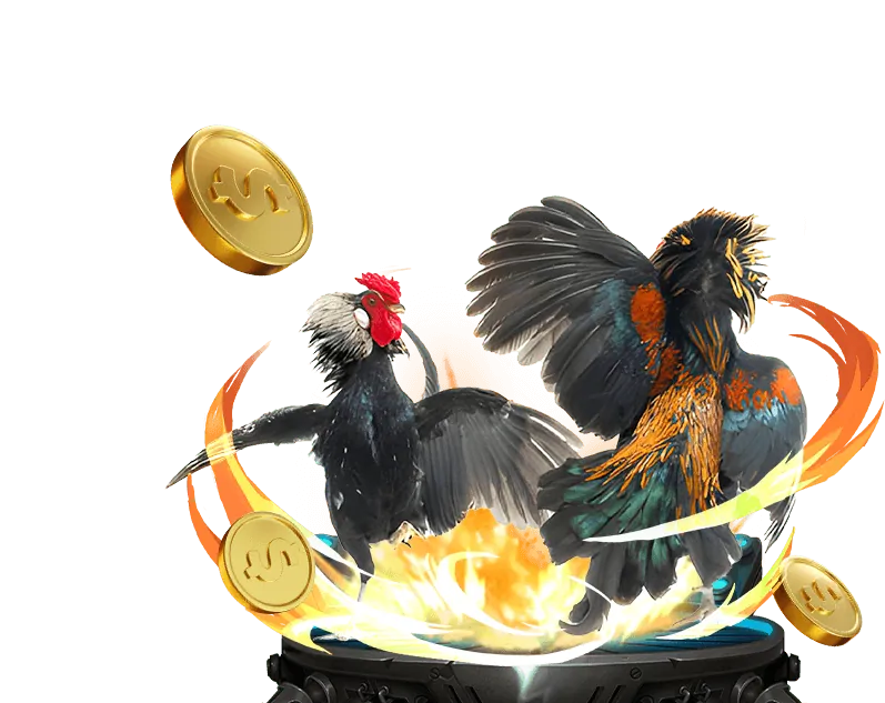 Mẹo cá cược đá gà hiệu quả từ viva88 app